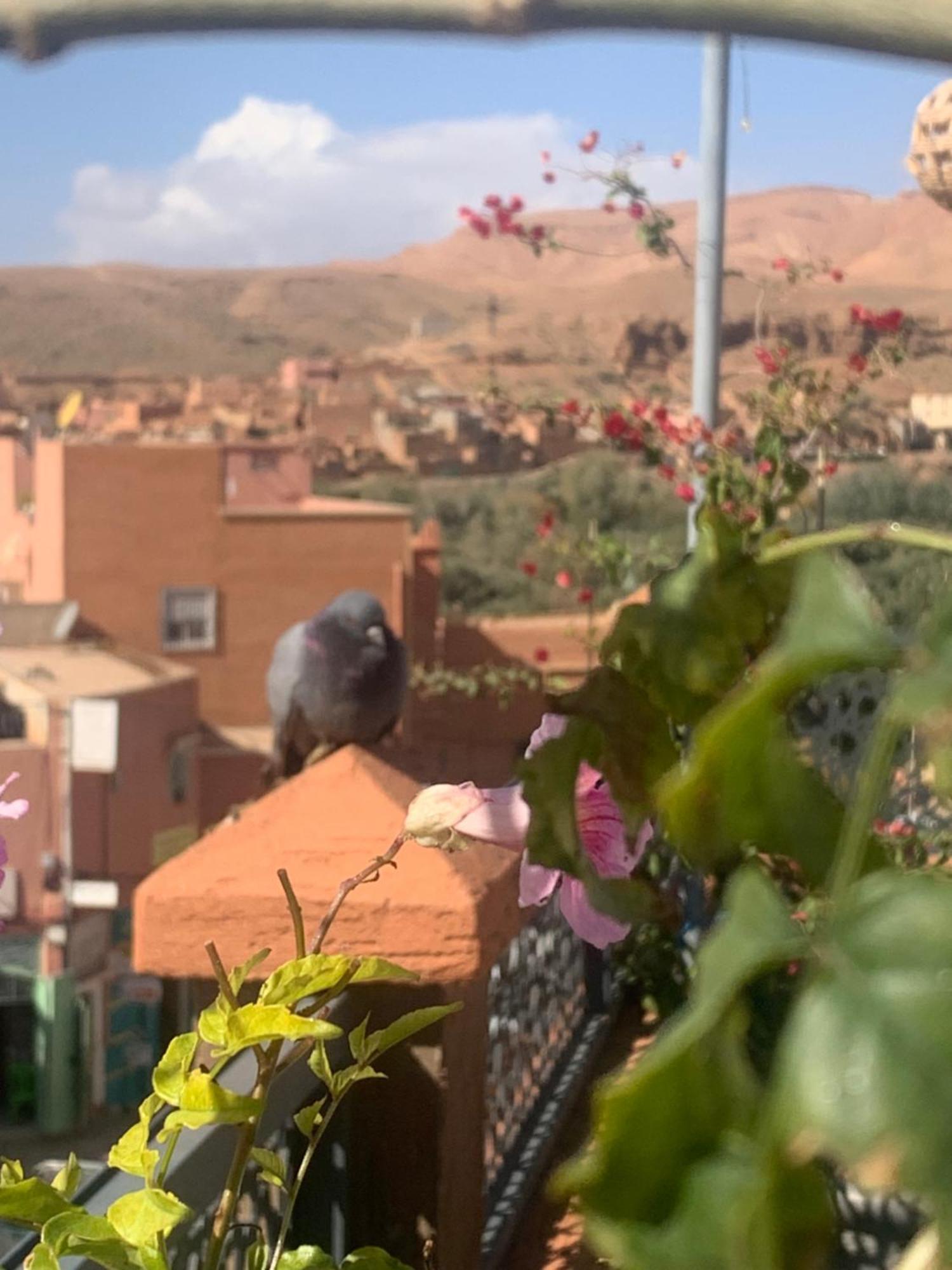 Hotel Riad Atlas Dades Boumalne Dades ภายนอก รูปภาพ
